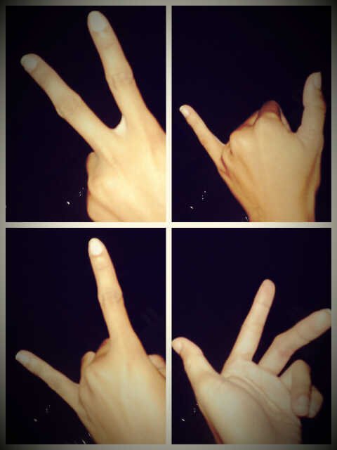 Koleb▲