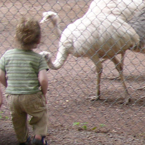 sustainablemama's profile picture. A mom trying to survive in this economy- buying organic is pricey! I love the planet and the animals who live here, let's do what we can to live in harmony!