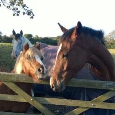 DonnaLTrue's profile picture. 