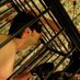 dageek (@dandyhouseboy) Twitter profile photo