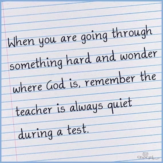 pankajthechopra's profile picture. 