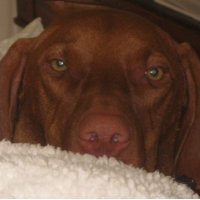 P Burton (@burtpam) 's Twitter Profile