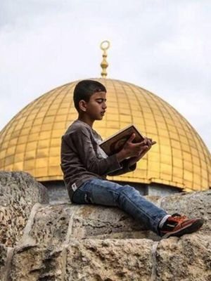 أرجو لجيل اوﻻدي أن يعود العصر الذهبي لﻻمه اﻻسﻻميه من المشرق إلى المغرب