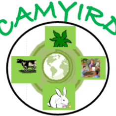CAMYIRD's profile picture. Youth in ARD l #ICT4AG l #Climatechange l #Foodsecurity l #Advocacy l #ICKM l #Socialmedia