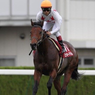 競馬にはまりました。趣味の合う方フォローよろしくお願いします。 よく横浜のウインズ、川崎競馬場にも通ってます。 ブログもたまに更新します。