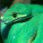 tradytlagoog191's profile image
