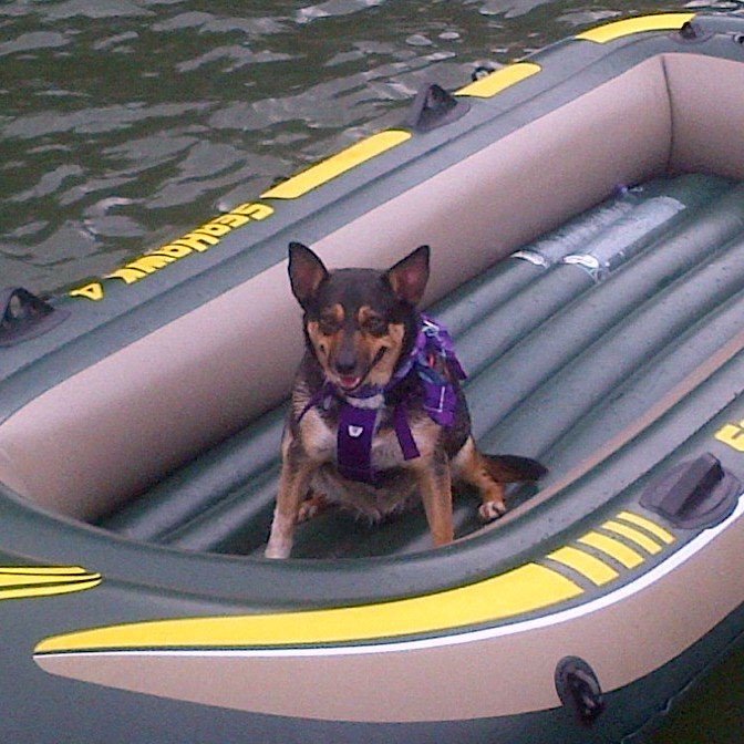 intcomtest's profile picture. 