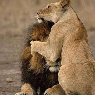 mntaekwon's profile picture. 