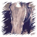 Mckenna Murray - @mckennafehr1 - Twitter