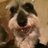 Ciudadano741's profile image