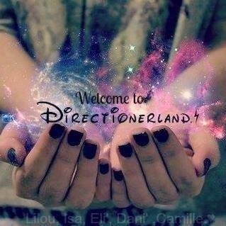je suis fière d'être une Directioner. Une fille pas comme les autres qui s'accepte comme elle est.