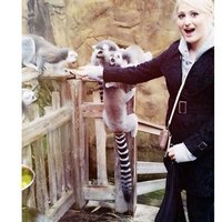 Meghan Trainor (@megantrainxr) 's Twitter Profile