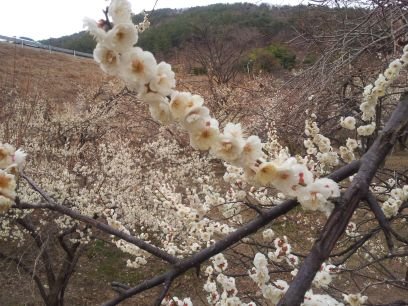 rrapydu122's profile picture. 