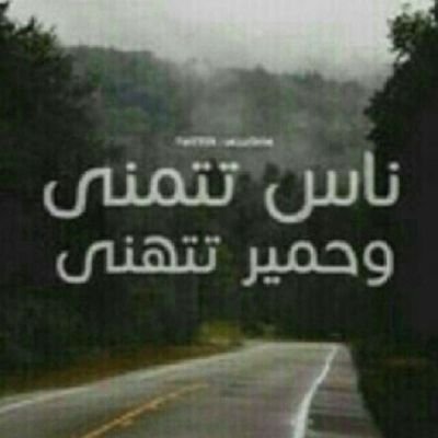 المملكة العربية السعودية