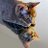sanquavelmu1979's profile image