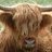 procitgagod1971's profile image