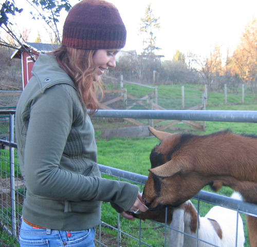 ParkdalePetSits's profile picture. Professional, reliable and convenient pet sitting in Hood River's Upper Valley.