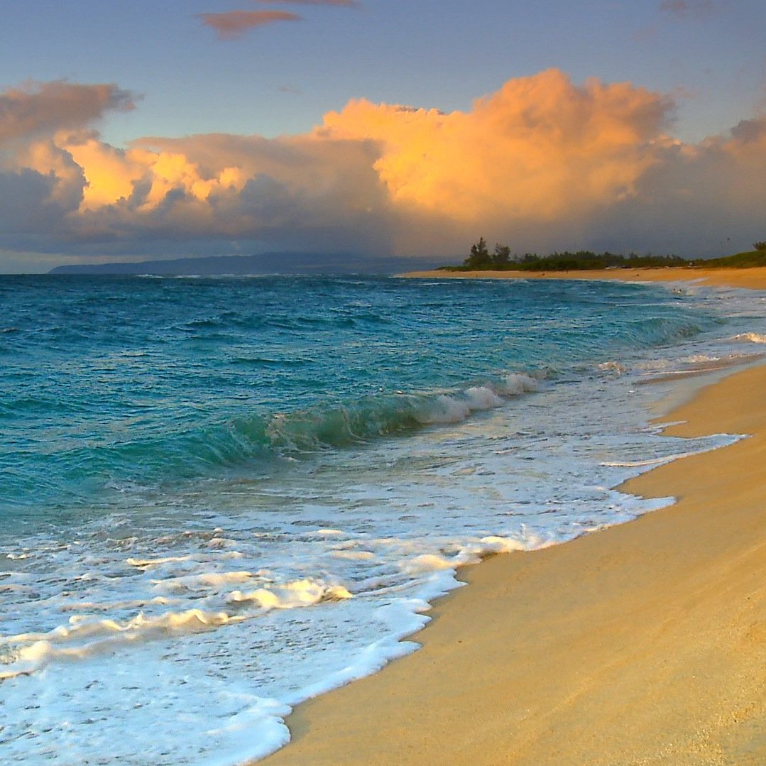 seeshell3166's profile picture. 