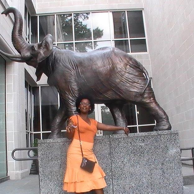 BahDjenabou's profile picture. Présidente de l'Association des Jeunes filles pour la promotion de l'Espace Francophone. Membre du bureau exécutif du conseil national des organisation des osc