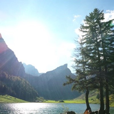 maxalhourani's profile picture. Techno logyc