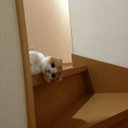 日新又日新 (@57Q57) Twitter