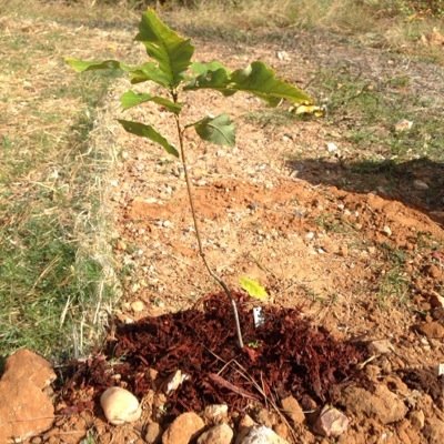 hmsenviro's profile picture. 