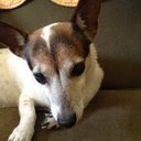 Kathy Stanley - @ElliesmomKathy - Twitter