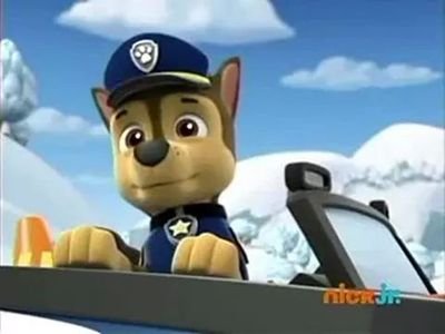 Hi I'm chase my other account is @policepup I'm the real paw patrol chase