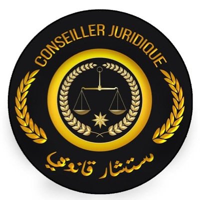 استشارات قانونية و تحصيل كل انواع الديون على الصعيد الوطني و الدولي