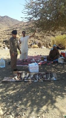‏‏‏‏‏‏‏ِ ..          ‏هُنآگ مَن يمّنحگ [ آلفَرح ] بِلآ مُقآبل  هَـآدئون جِدّا  . . . گلآمهم لگ جَميل، لا يريدُون سِوى آبتسَآمتـِگ . . فـ حَآول ؛ انّ لا تخسَرهُم
