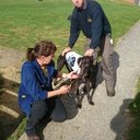 Gary Dawes - @dawesgp12 - Twitter