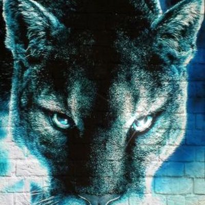 ブラックパンサー Socceragin Twitter