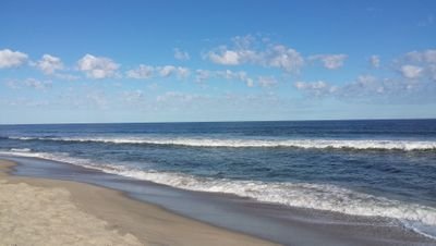 amandahealy10's profile picture. 