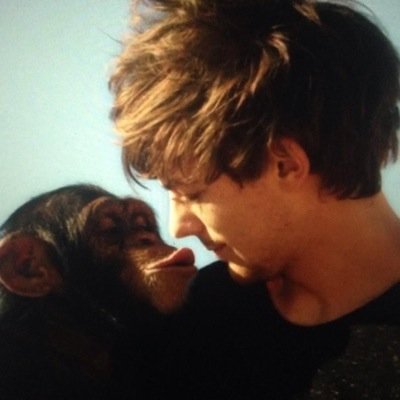 harry is a great daddy, louis?