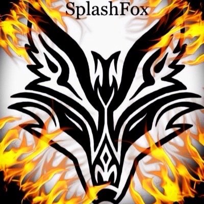 Man sollte nicht auf Hater achten sondern auf die wahren Fans denn sie sind der Grund wiso du Videos machst. :D YouTube SplashFox