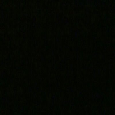 tleringram's profile picture. 