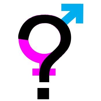 harleyburr1's profile picture. 