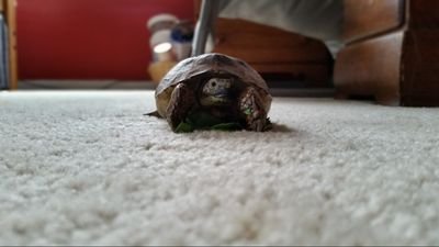 stanplante's profile picture. 