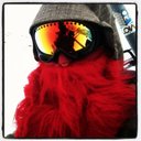 Lucas Reilly - @RangaReilly - Twitter