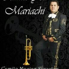 mariachi 3144238942