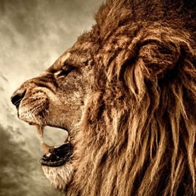 roman128122's profile picture. 