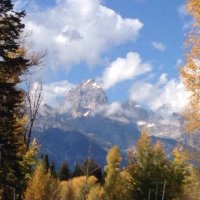 Shirley Kleehammer (@mrskleehammer) 's Twitter Profile