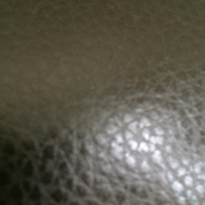 TheWilliamVega's profile picture. 