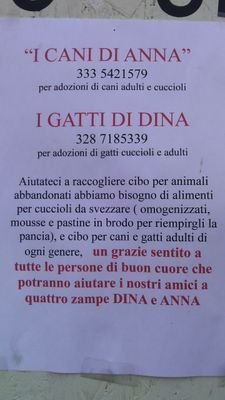 COLONIA DI GATTI N 102 PIETRASANTA (montiscendi)