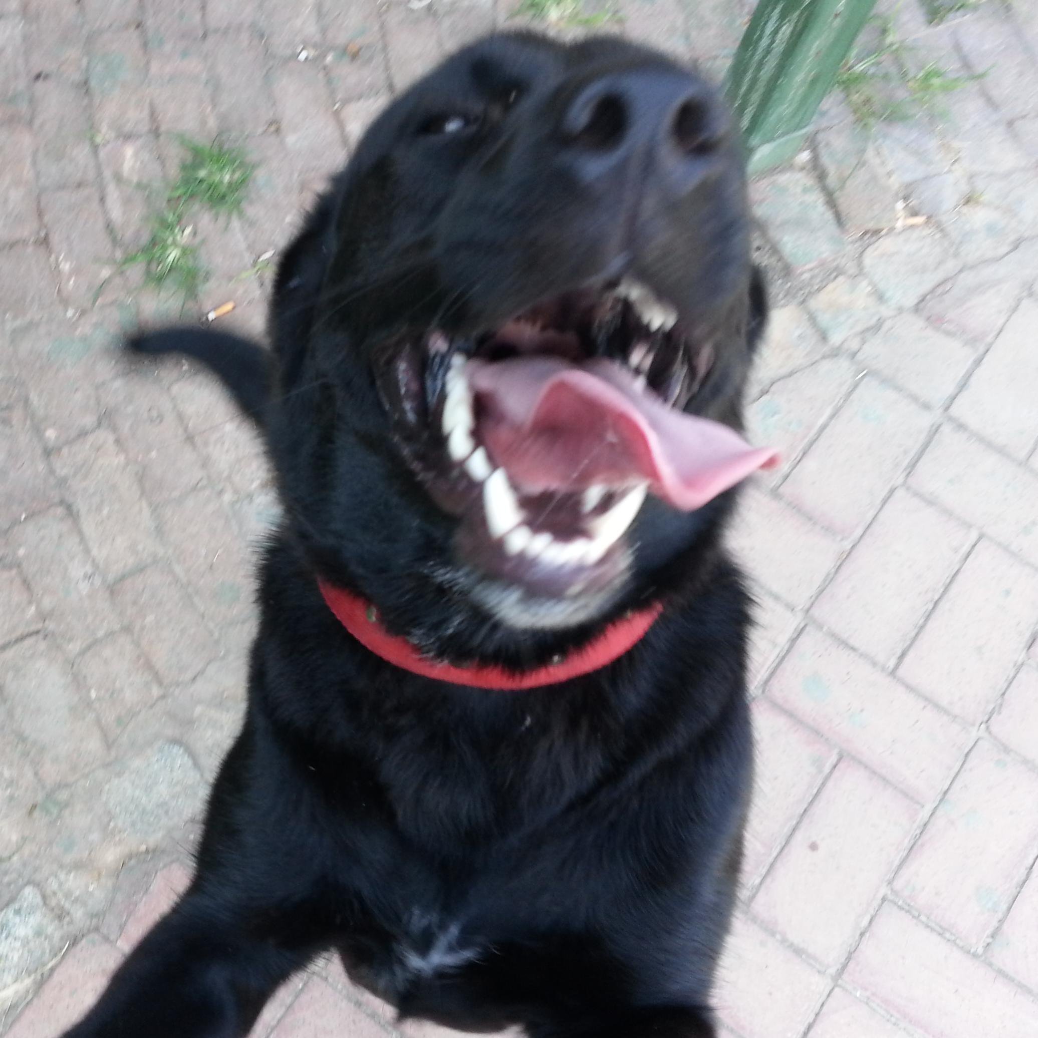 myrestime's profile picture. 