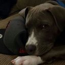 Kameron Beck - @kami_kaze09 - Twitter