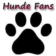hundetricks_net's profile picture. Hier erhalten Sie Tipps über Hunde.