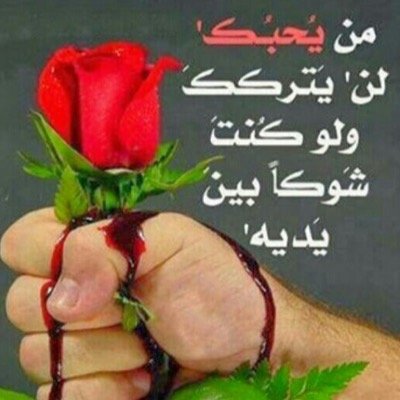 لم اكن مصري ولكني بعشق مصر بجنون...!
