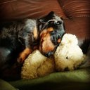 Beth Payne - @bethanan - Twitter