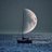 9oQ9's profile image
